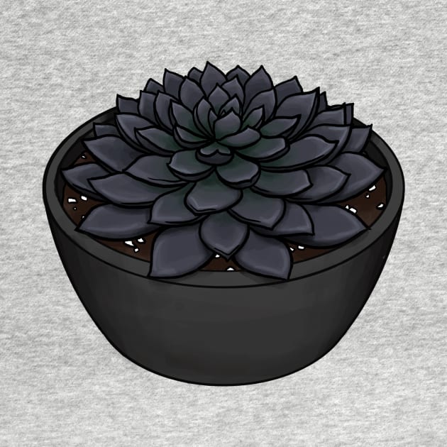 Black Prince Succulent - Echeveria Affinis by Charredsky